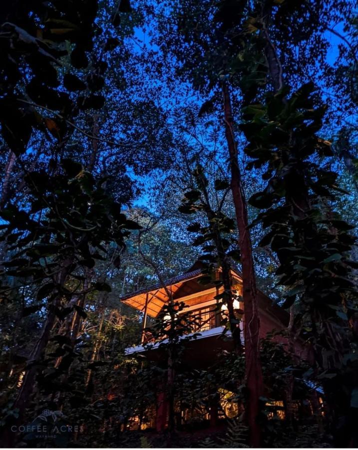 Coffee Acres Resort Kalpatta Buitenkant foto