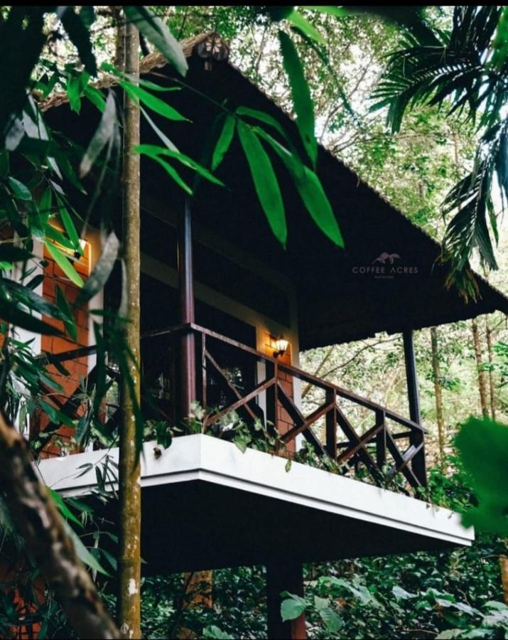 Coffee Acres Resort Kalpatta Buitenkant foto