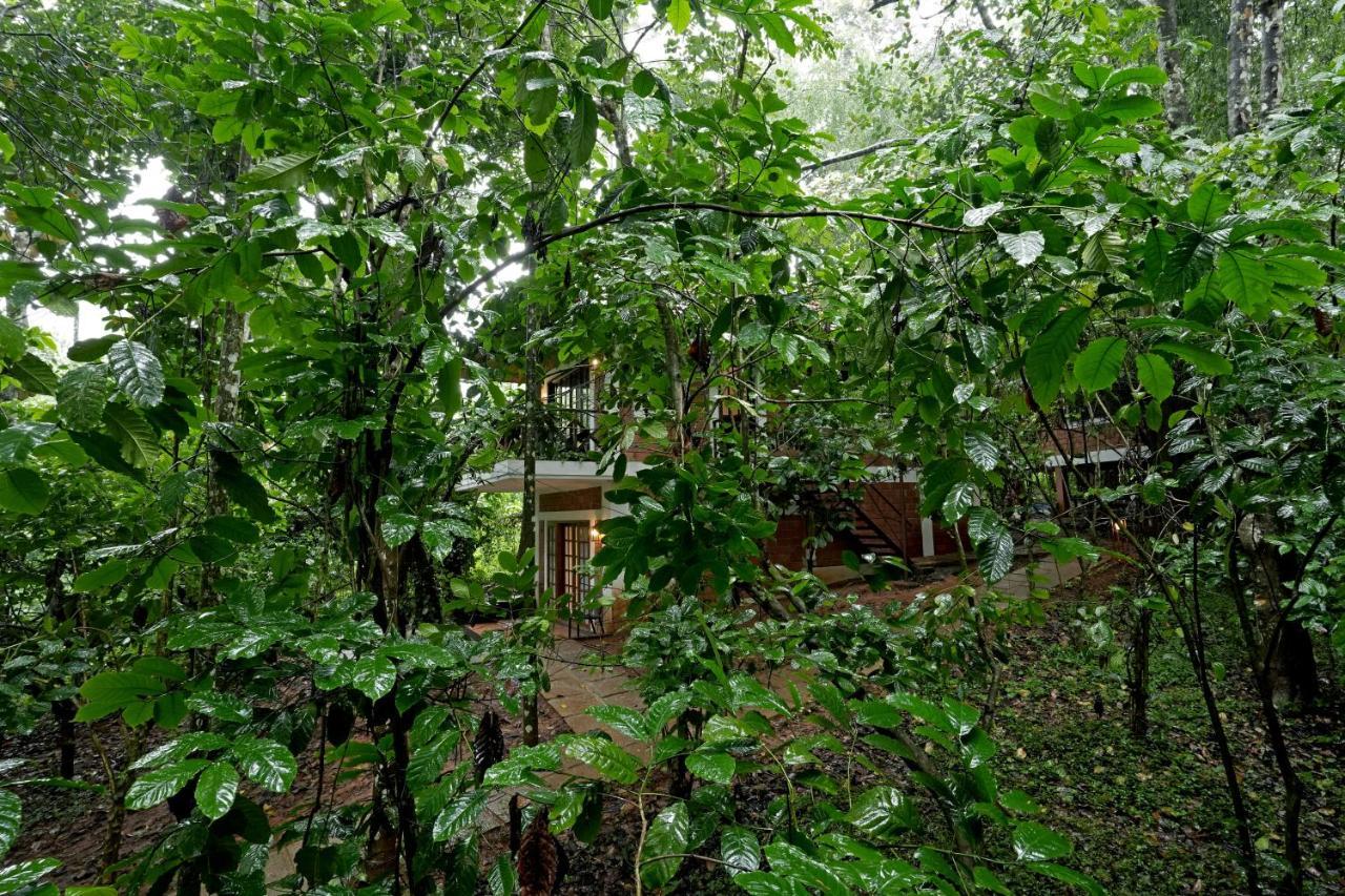 Coffee Acres Resort Kalpatta Buitenkant foto