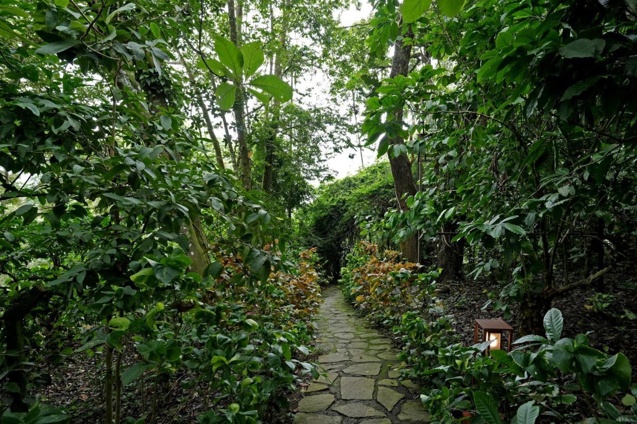 Coffee Acres Resort Kalpatta Buitenkant foto