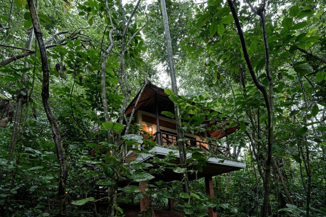 Coffee Acres Resort Kalpatta Buitenkant foto