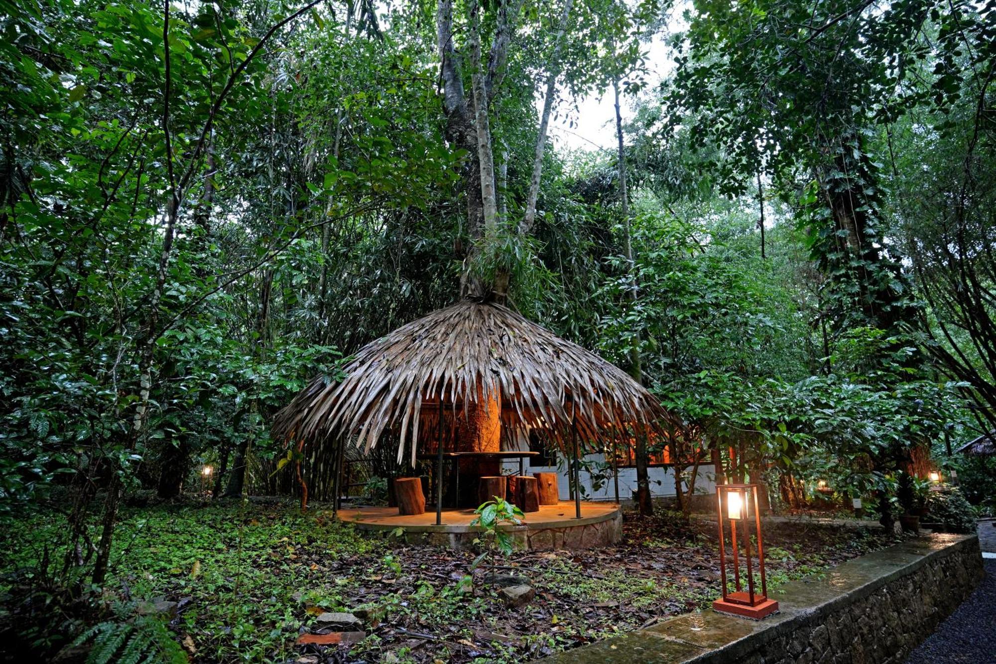 Coffee Acres Resort Kalpatta Buitenkant foto