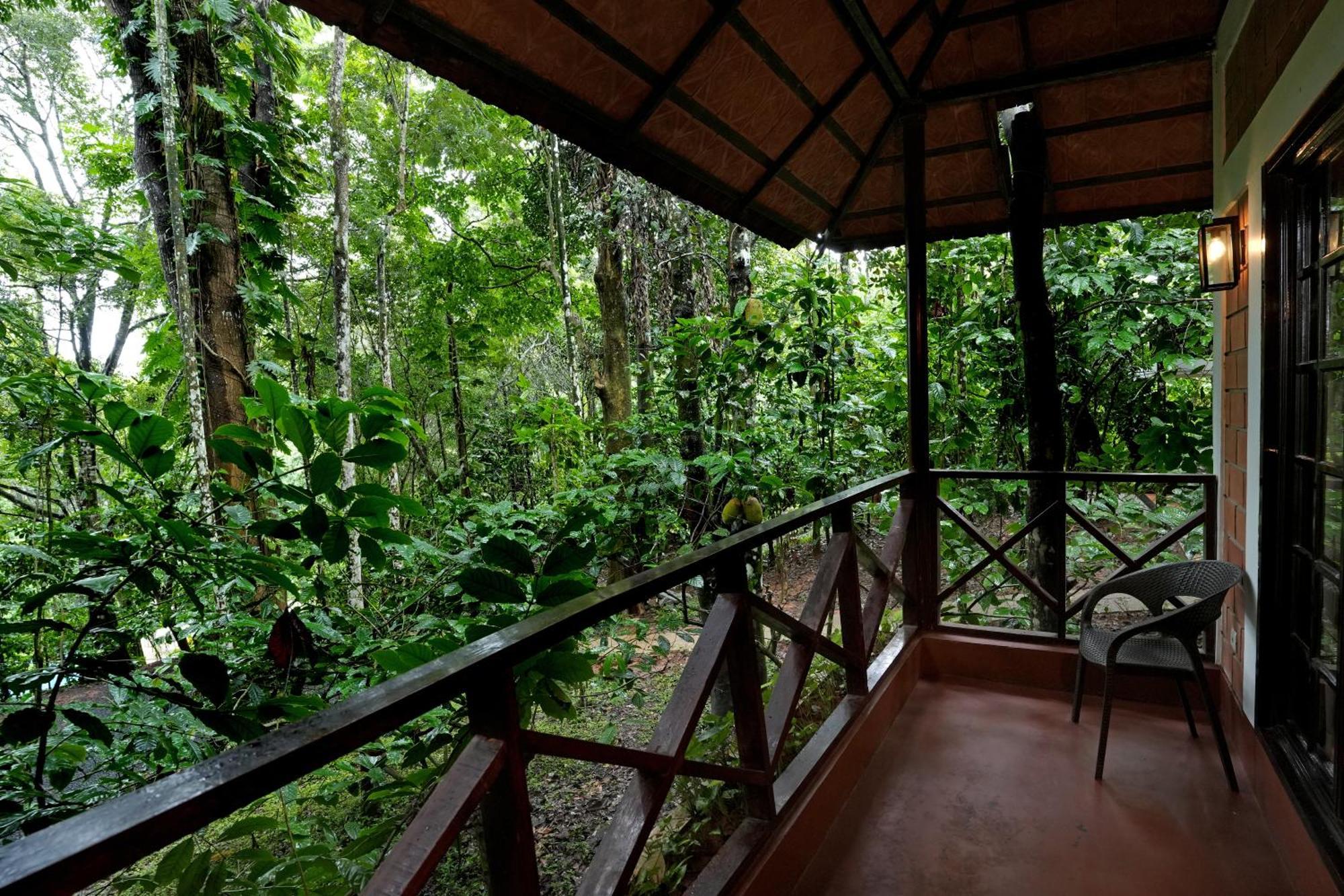 Coffee Acres Resort Kalpatta Buitenkant foto