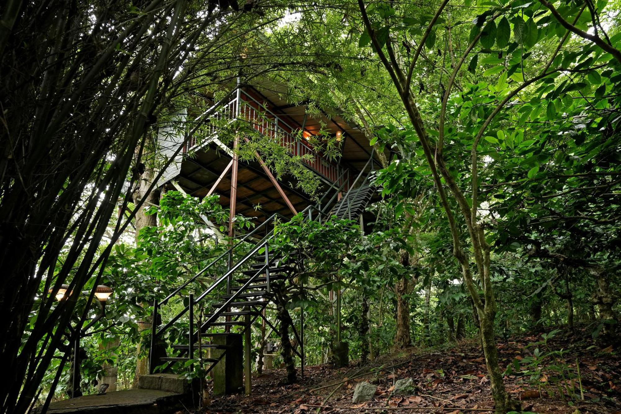 Coffee Acres Resort Kalpatta Buitenkant foto