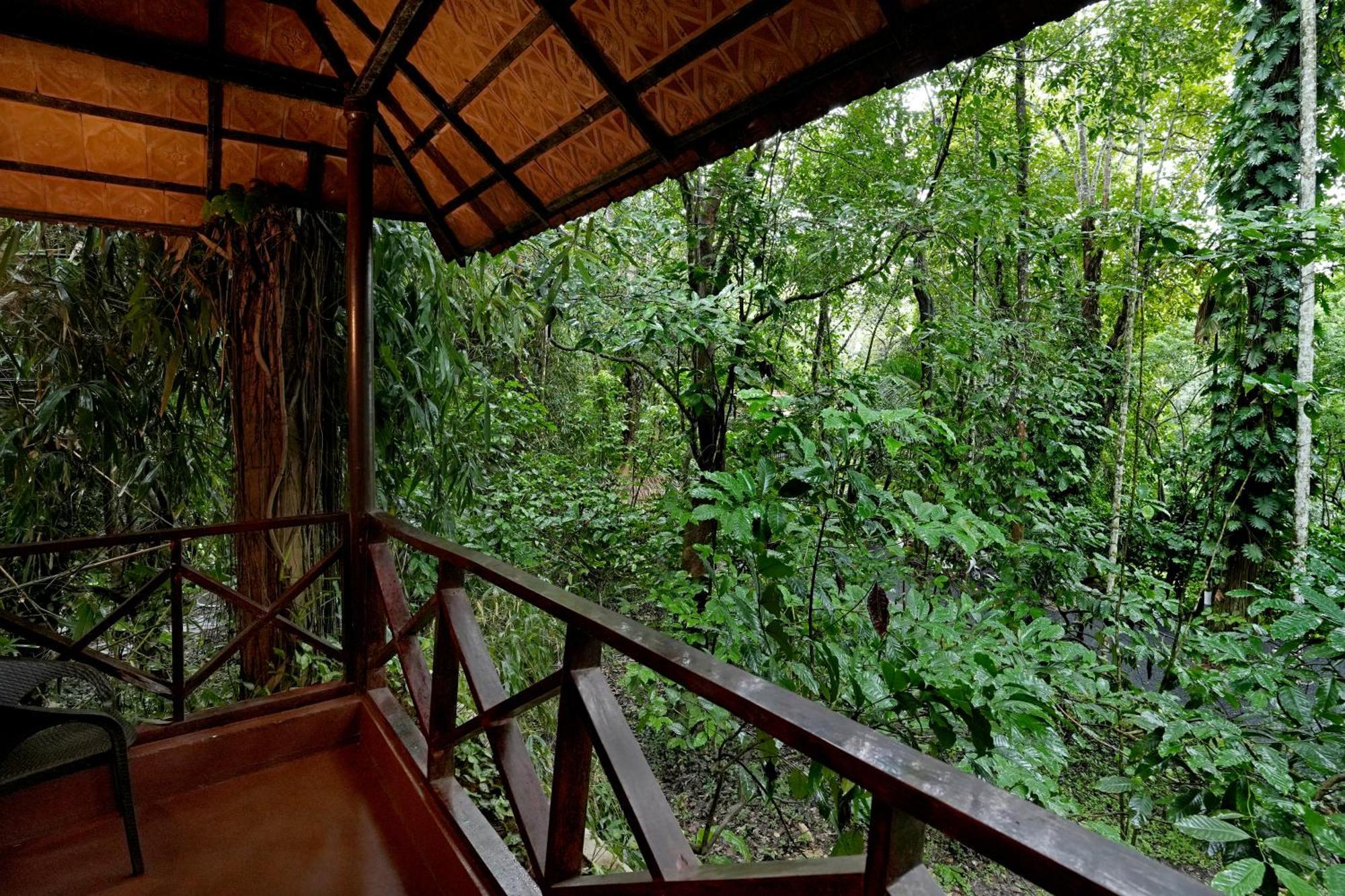 Coffee Acres Resort Kalpatta Buitenkant foto